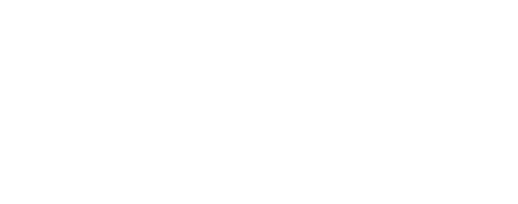PCFox Logo